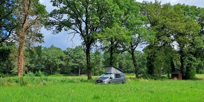 Reisemobilstellplatz - Wohnwagen erlaubt - Agelo - Naturstellplatz "Kleine Weide unter Bäumen."