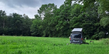 Motorhome parking space - Wintercamping - De Lutte - Naturstellplatz "Kleine Weide unter Bäumen."