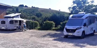 Reisemobilstellplatz - Wohnwagen erlaubt - Bad Mergentheim - Bio-Weingut Seitz