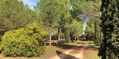 Reisemobilstellplatz - Umgebungsschwerpunkt: am Land - Alberobello - Area Sosta Camper Masseria Appia Traiana - Ostuni