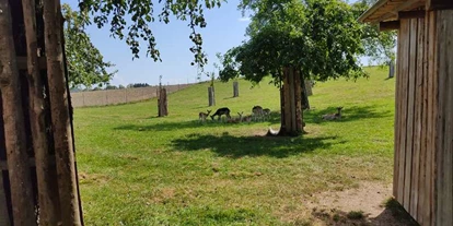 Reisemobilstellplatz - Art des Stellplatz: am Bauernhof - Renquishausen - auf dem Loghof