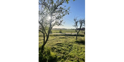 Reisemobilstellplatz - Hunde erlaubt: Hunde erlaubt - Südschweden - Wundervoller Garten auf einem alten Bauernhof - Tanum Auf dem Land - Panorama