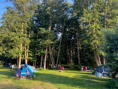 Parkeerplaats voor camper - Zeltplatz am Wald - ostseequelle.camp