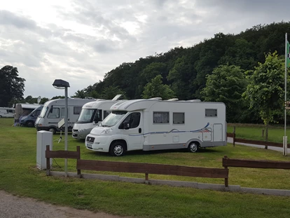 Posto auto camper - Bademöglichkeit für Hunde - Westerkappeln - Reisemobil und Wohnwagenstellplatz am Campingplatz Waldwinkel
