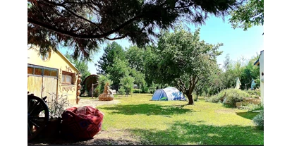 Parkeerplaats voor camper - Bademöglichkeit für Hunde - Inside yard (10 tent spaces) - CAMPSITE & Art space Zivotnica, Ort schöner Gedanken (Cyclo camp)