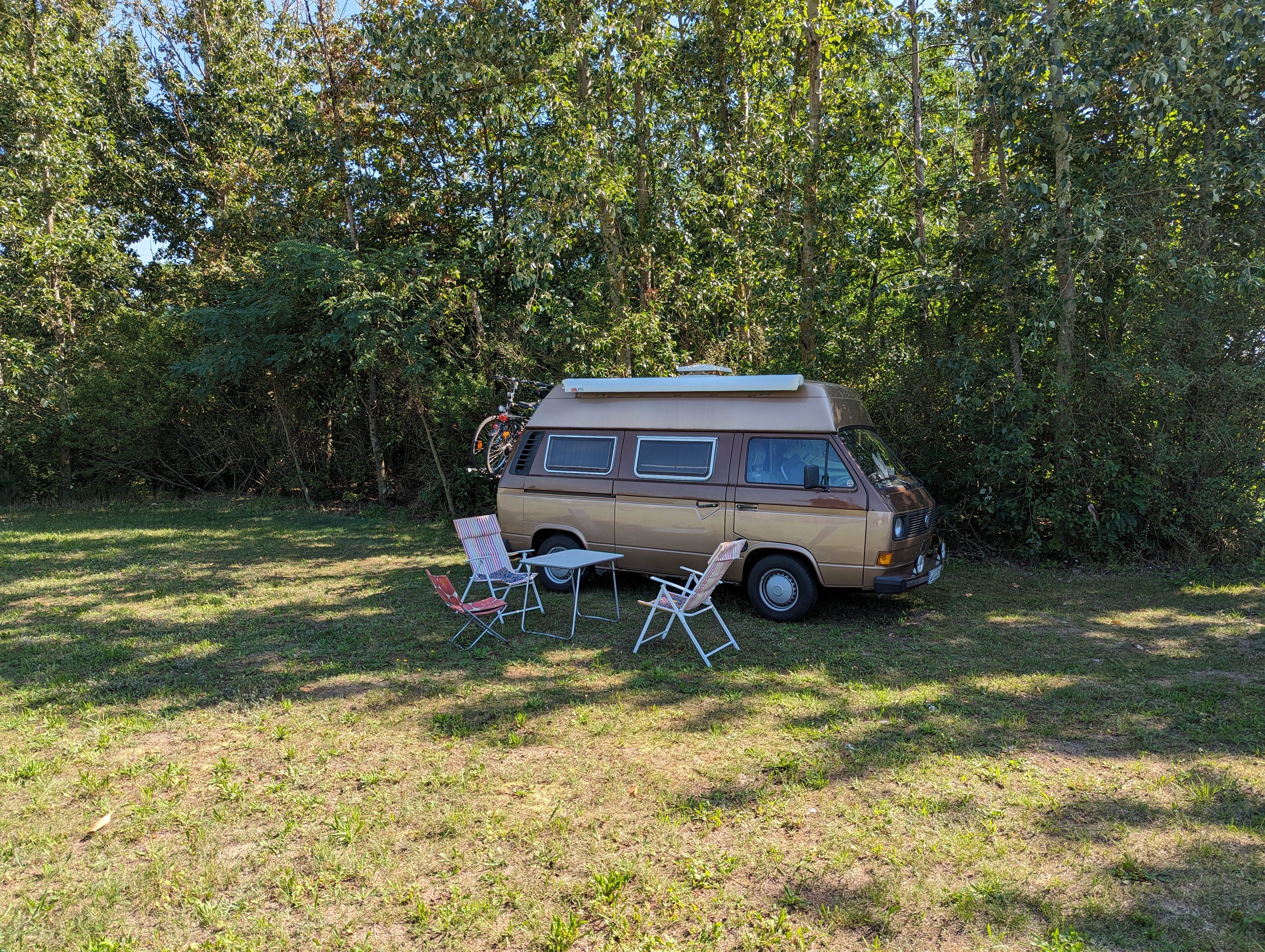 Motorhome parking ground - Schattenfläche im vorderen Zufahrtsbereich.  - Wohnmobilstellplatz Friedensmühle