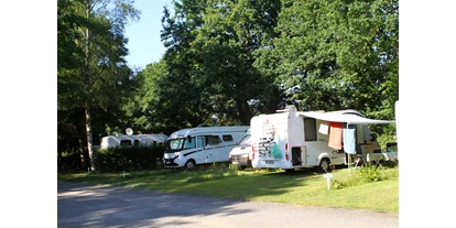 Motorhome parking space - Stromanschluss - Morbihan - (56450) Etape Camping-Cars Aire de Lann Floren