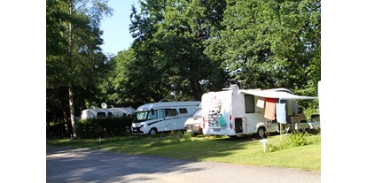 Motorhome parking space - Hunde erlaubt: Hunde erlaubt - Brittany - (56450) Etape Camping-Cars Aire de Lann Floren