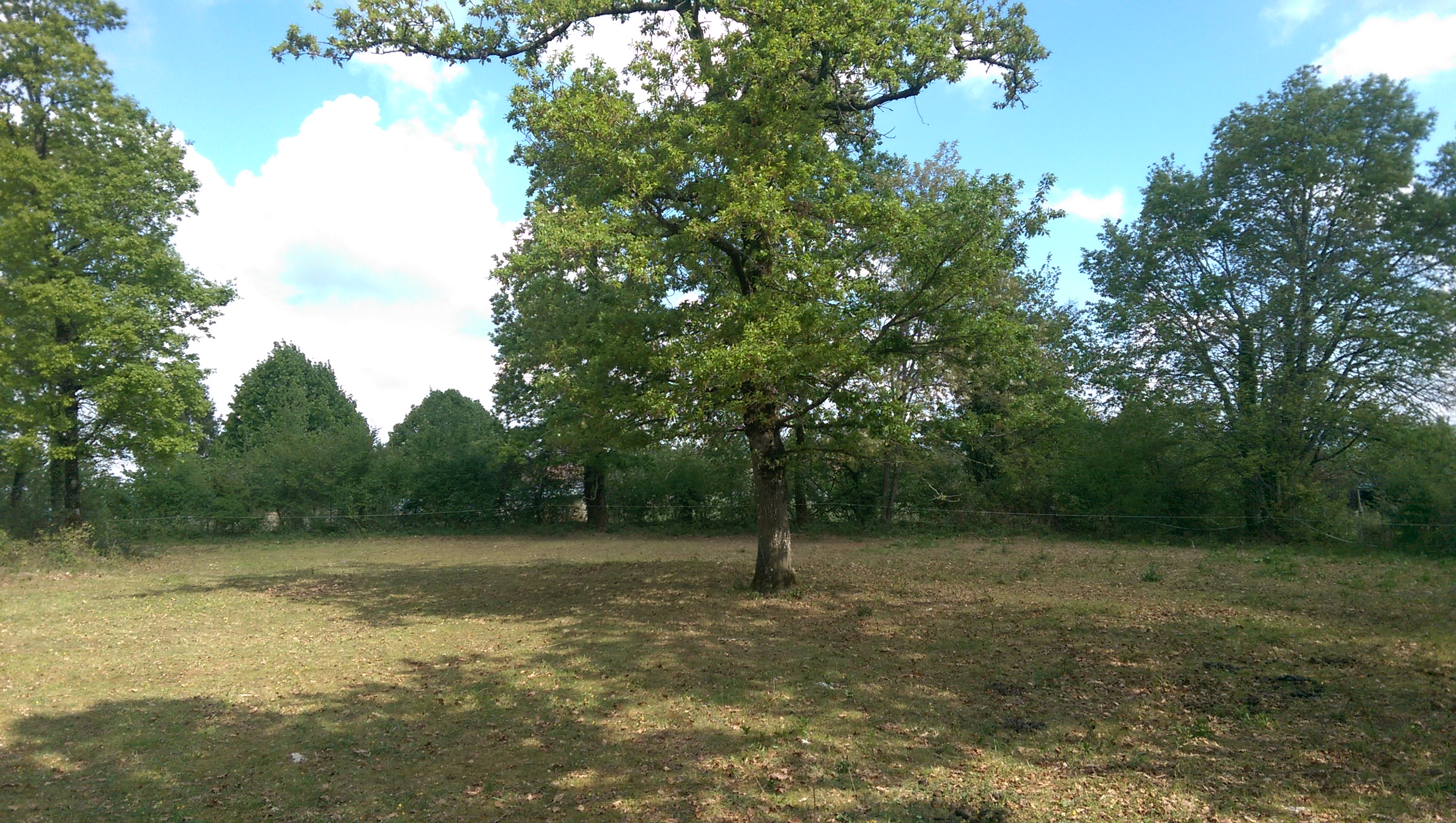 Wohnmobilstellplatz - einplatzimPARADIES
