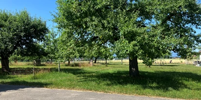 Reisemobilstellplatz - Umgebungsschwerpunkt: Fluss - Grünenmatt - oder parken Sie lieber auf der anderen Seite bei den Hochstammobstbäumen - Berchtoldshof