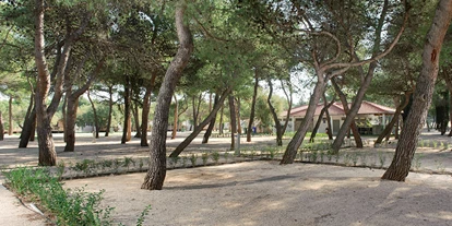 Parkeerplaats voor camper - Umgebungsschwerpunkt: Meer - Dalmatië - Campingplatz Amadria Park Šibenik
