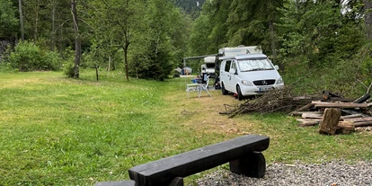 Parkeerplaats voor camper - Duschen - Elbingerode (Landkreis Göttingen) - Harzklub Wanderheim Wildemann