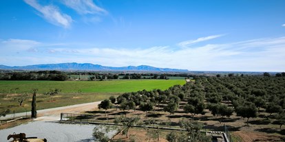Reisemobilstellplatz - Costa Brava - Vista panorámica - Relax and enjoy ample space and tranquility among organic olive trees