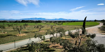 Motorhome parking space - L’Estartit - Vista panorámica - Relax and enjoy ample space and tranquility among organic olive trees