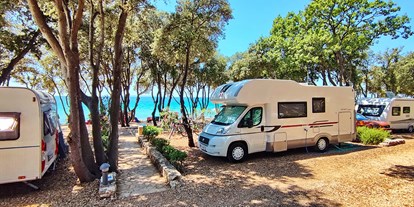 Motorhome parking space - Surfen - Dalmatia - Campingplatz Straško****
