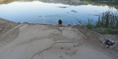 Reisemobilstellplatz - Bademöglichkeit für Hunde - Emberg bei Kapfenberg - Schotterteich am Lammerhof