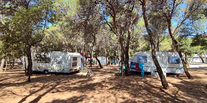 Place de parking pour camping-car - Umgebungsschwerpunkt: Strand - Croatie - Campingplatz Porat***
