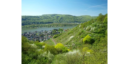Posto auto camper - Andernach - Blick von oben ins Rheintal - Stellplatz im Wildgehege oberhalb des Rheintals