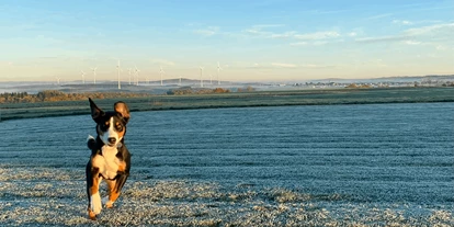 Reisemobilstellplatz - Hunde erlaubt: Hunde erlaubt - Valwig - Anton im Glück