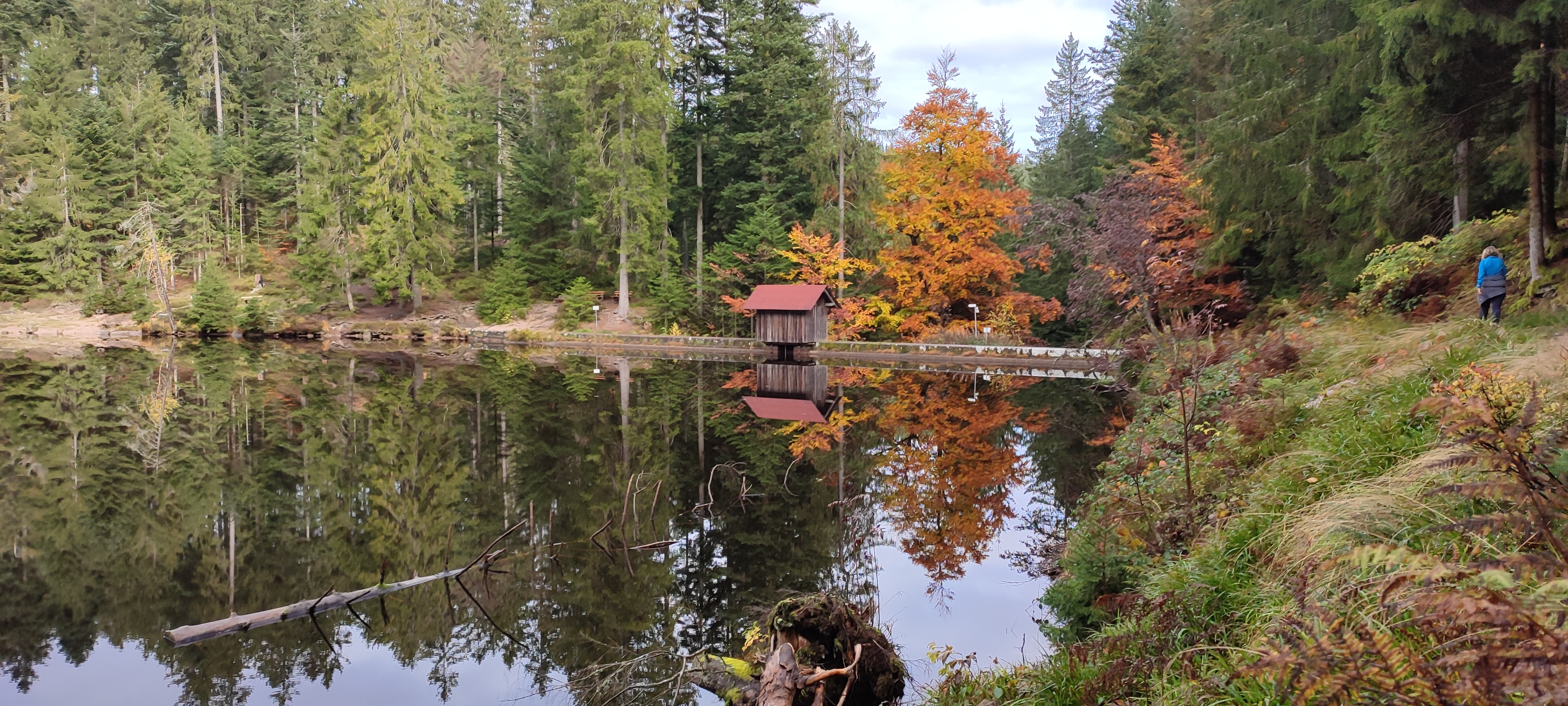 Wohnmobilstellplatz - Glaswaldsee - Womo Schwarzwald