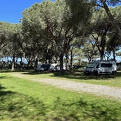Posto auto per camper - Schattige Stellplätze - La Pampa Parking Area & Camp