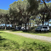 Wohnmobilstellplatz - Schattige Stellplätze - La Pampa Parking Area & Camp