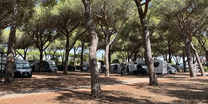 Posto auto camper - Duschen - Maremma - Grosseto - Schattige Stellplätze - La Pampa Parking Area & Camp