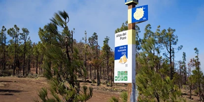 Parkeerplaats voor camper - Umgebungsschwerpunkt: Berg - Gran Canaria - Camping Altos del Pozo [TEJEDA]