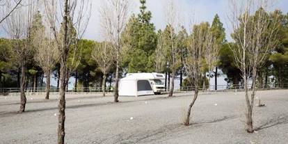 Parkeerplaats voor camper - Gran Canaria - Camping Corral de los Juncos [TEJEDA]