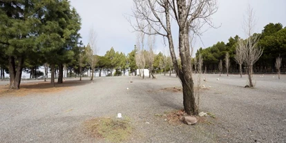 Plaza de aparcamiento para autocaravanas - San Bartolome - Camping Corral de los Juncos [TEJEDA]