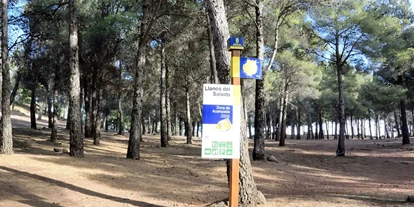 Plaza de aparcamiento para autocaravanas - Umgebungsschwerpunkt: Berg - Islas Canarias - Camping Llanos del Salado [TEJEDA]
