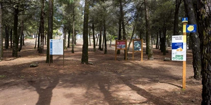 Plaza de aparcamiento para autocaravanas - Gran Canaria - Camping Llanos del Salado [TEJEDA]