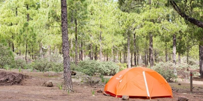 Parkeerplaats voor camper - Umgebungsschwerpunkt: Berg - Gran Canaria - Camping Llanos de la Mimbre [AGAETE]