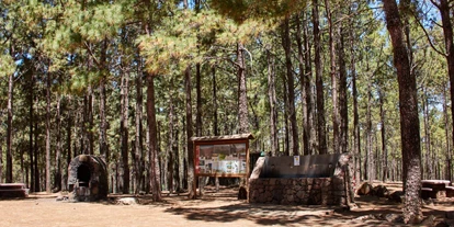 Parkeerplaats voor camper - Umgebungsschwerpunkt: Berg - Canarische eilanden - Camping Llanos de la Pez [TEJEDA]