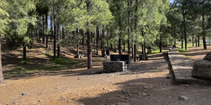 Parkeerplaats voor camper - Gran Canaria - Camping Llanos de la Pez [TEJEDA]
