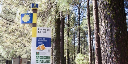 Plaza de aparcamiento para autocaravanas - San Bartolome - Camping Llanos de la Pez [TEJEDA]