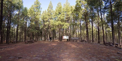 Parkeerplaats voor camper - Umgebungsschwerpunkt: Berg - Gran Canaria - Camping Llanos de la Pez [TEJEDA]
