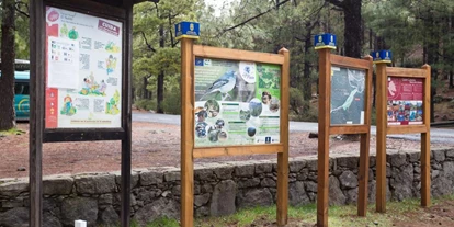 Plaza de aparcamiento para autocaravanas - Umgebungsschwerpunkt: Berg - Islas Canarias - Camping Llanos de la Pez [TEJEDA]