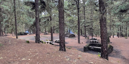 Place de parking pour camping-car - Hunde erlaubt: Hunde erlaubt - La Guancha - Camping Arenas Negras