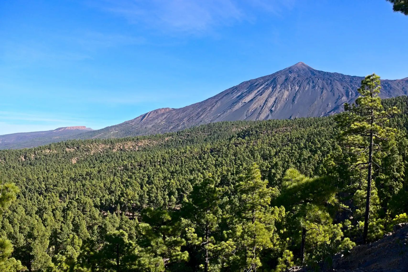 Wohnmobilstellplatz - Camping El Lagar
