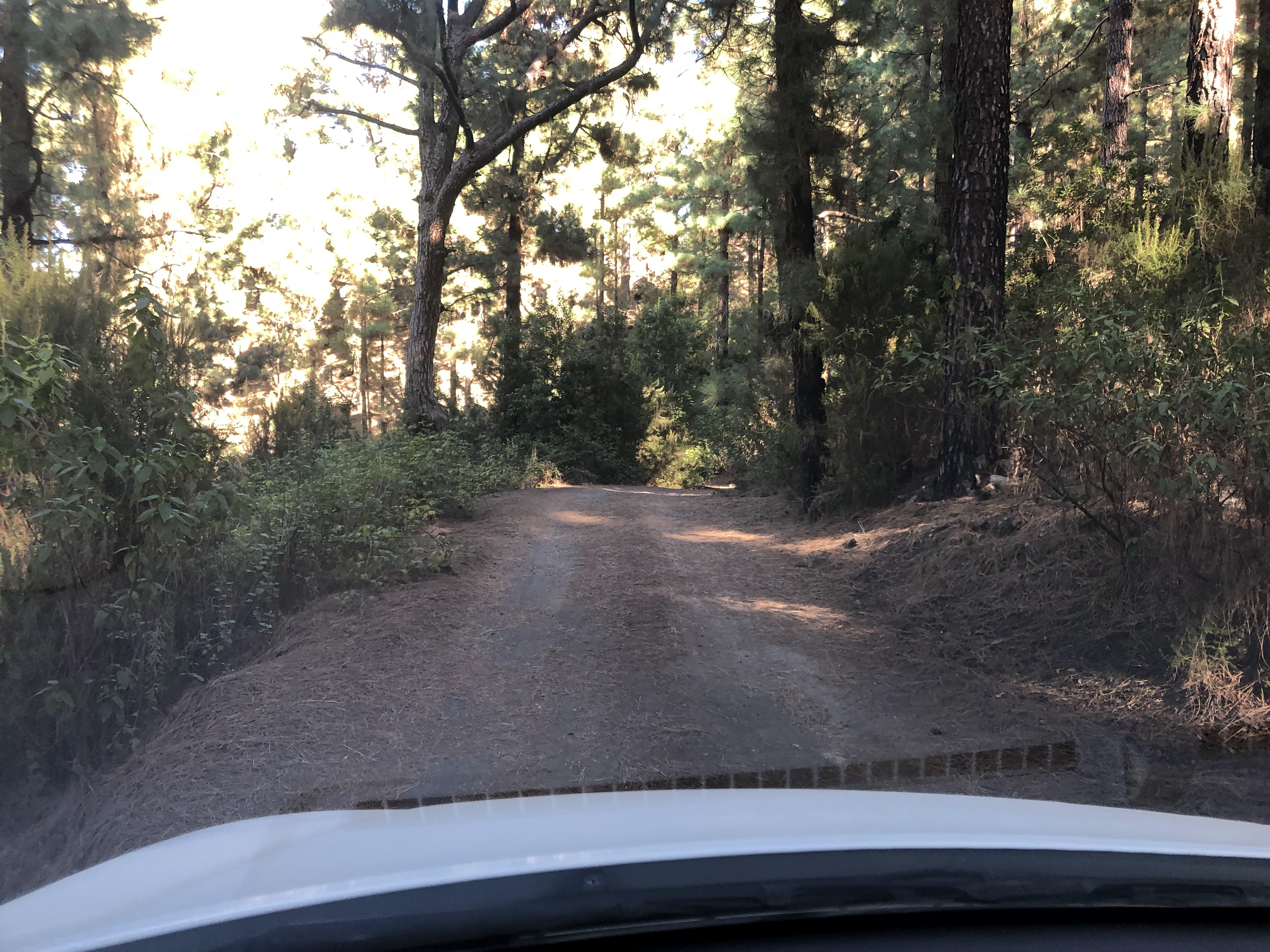 Camperplaats - Camping La Tahona