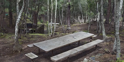 Parkeerplaats voor camper - Teneriffa - Camping La Tahona