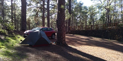 Place de parking pour camping-car - Hunde erlaubt: Hunde erlaubt - La Guancha - Camping Las Raices