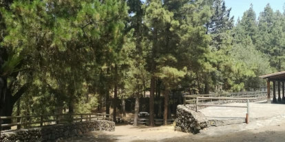 Parkeerplaats voor camper - La Orotava - Camping Ramón el Caminero
