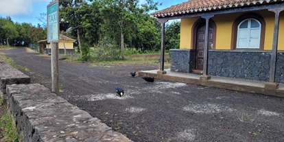 Plaza de aparcamiento para autocaravanas - Hunde erlaubt: Hunde erlaubt - Puntagorda - Camping La Laguna de Barlovento
