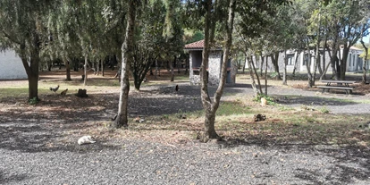 Parkeerplaats voor camper - Stromanschluss - Barlovento - Camping La Laguna de Barlovento