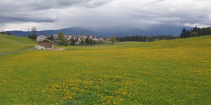 Reisemobilstellplatz - Umgebungsschwerpunkt: am Land - Moos (Glödnitz) - Naturpark Zirbitzkogel - Grebenzen