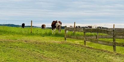 Reisemobilstellplatz - Umgebungsschwerpunkt: am Land - Pelm - Mit Blick auf die Kuh- und Kälberweide - Antoniushof 