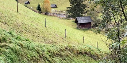 Reisemobilstellplatz - Umgebungsschwerpunkt: am Land - Schuß - Spazierweg zum Laussnitz Bach / Badestelle für Hunde - Sonnige Wiese am Bergbauernhof mit Aussicht 