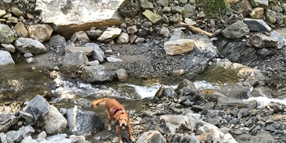 Reisemobilstellplatz - Frischwasserversorgung - Schuß - Hund im Laussnitz Bach / tolle Abkühlung  - Sonnige Wiese am Bergbauernhof mit Aussicht 